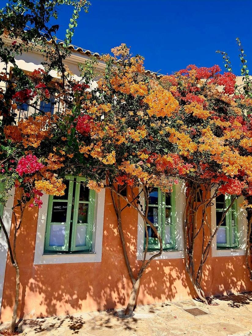 Foto's Gasten Kefalonia