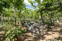 huize venetis, kambos op chios