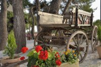 huize pefkas, vassilikos op zakynthos