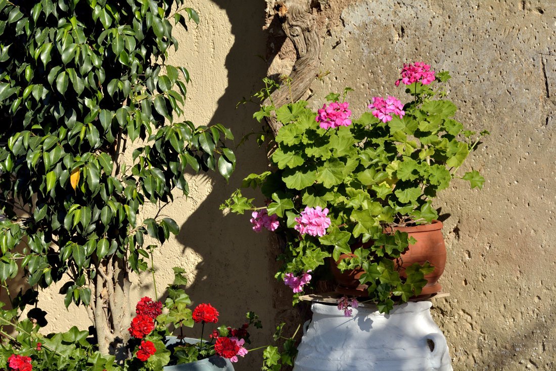 myrties stone houses, vassilikos op zakynthos