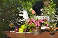 myrties stone houses, vassilikos op zakynthos