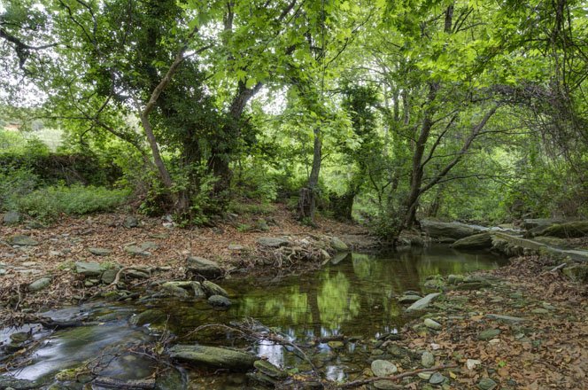 watervallen en bronnen op andros, griekenland