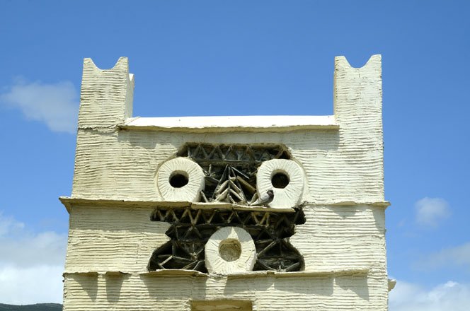 flora en fauna op andros, griekenland