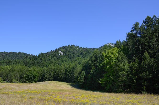 de drymona watervallen op evia, griekenland