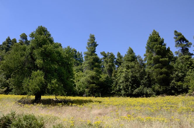 de drymona watervallen op evia, griekenland