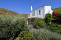 red tractor farm, korissia op kea 