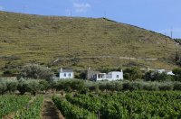 red tractor farm, korissia op kea 