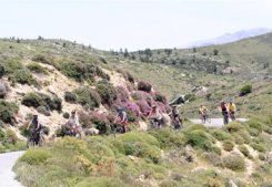 Fietsen door Griekenland