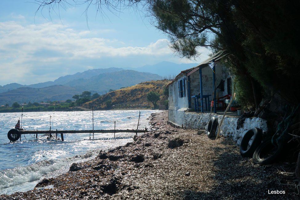 Foto's van gasten vakantie Lesbos