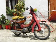 Foto's van gasten vakantie Pilion