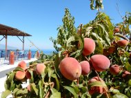 Foto's van gasten vakantie Samos