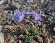 Foto's van gasten vakantie Zuid-Kreta