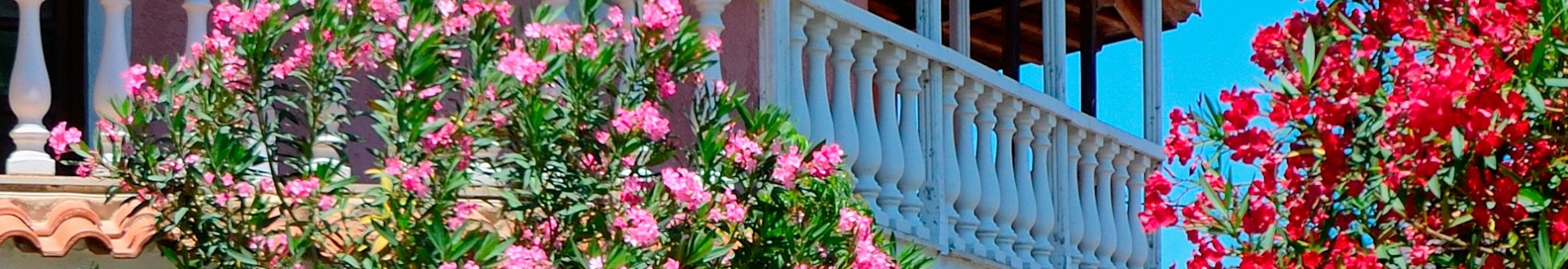 huize ilios, pefki, noord-evia op evia.jpg