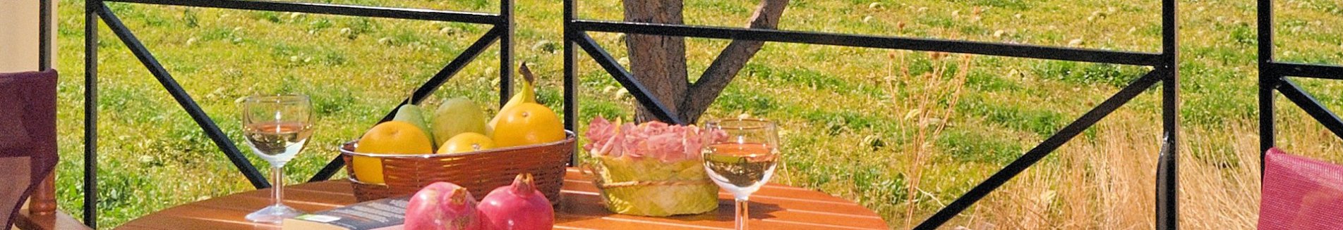 huize gea, petra op lesbos.jpg