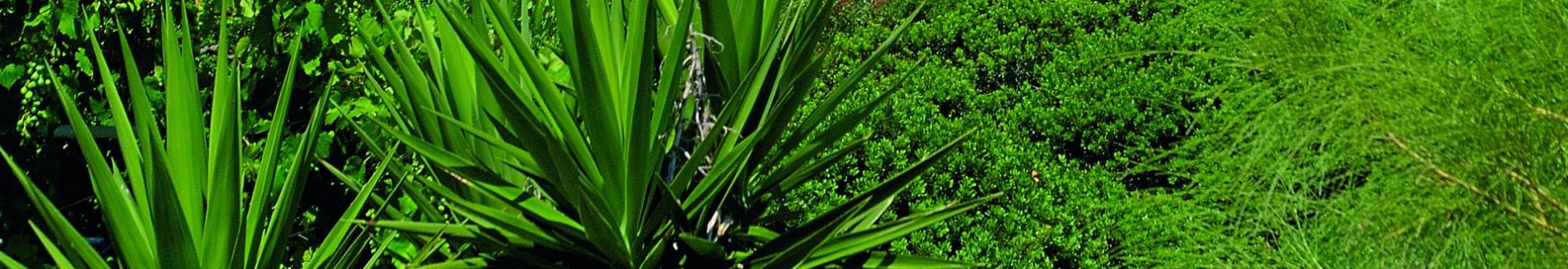 huize evangelia, karfas op chios.jpg