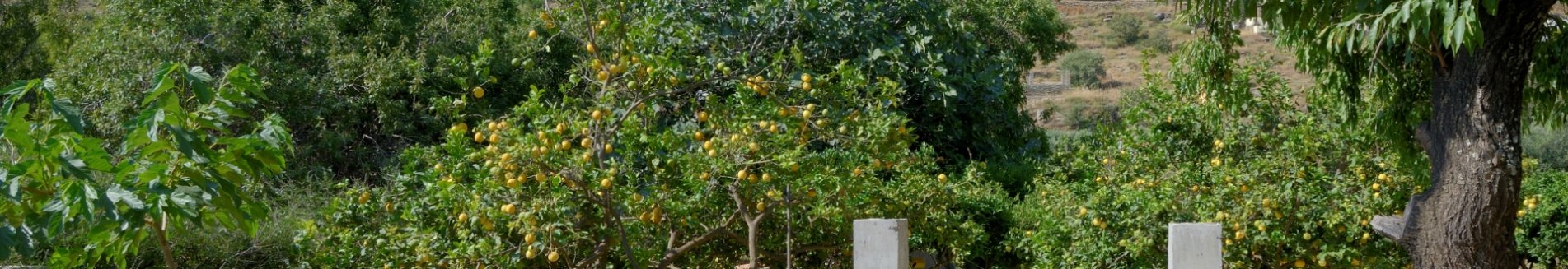 huize holiday rooms, otzias op kea.jpg