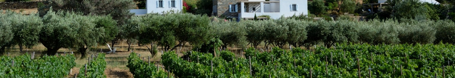 red tractor farm, korissia op kea.jpg