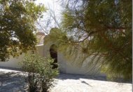 griekenland reisverhalen, brood met basilicum