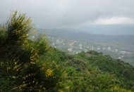 griekenland reisverhalen, mistflarden in pilion