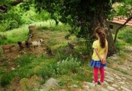 griekenland reisverhalen, kind kwijt in pilion