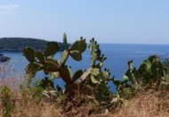 griekenland reisverhalen, griekse gastvrijheid op de peloponnesos