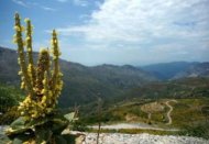 griekenland reisverhalen, peloponnesos, een fantastische vakantie-ervaring