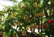 griekenland reisverhalen, lusthof