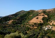 griekenland reisverhalen, dank aan alle griekse goden