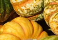 griekenland reisverhalen, kalebassen op pilion