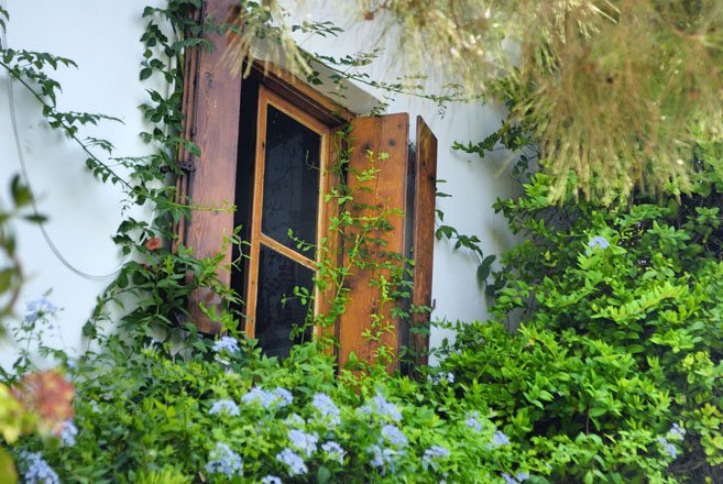 vakantie griekenland, bestemming skyros