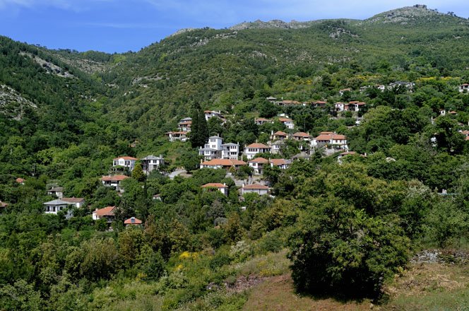 vakantie griekenland, bestemming thassos