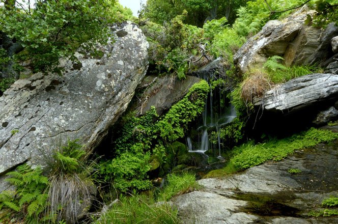 vakantie griekenland, bestemming andros