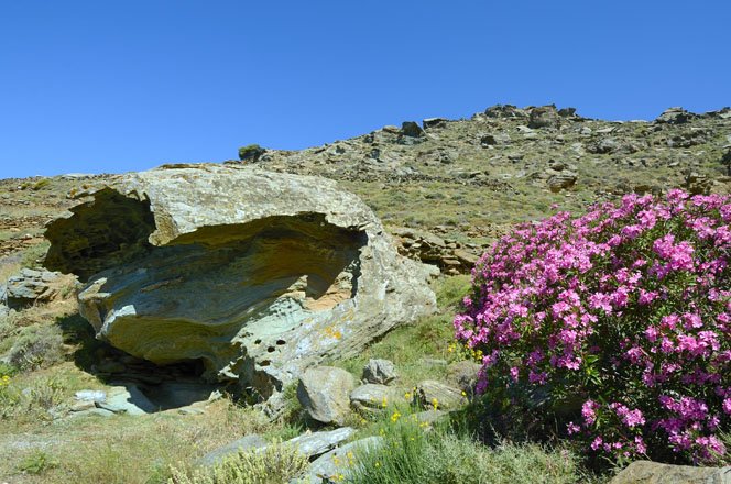 vakantie griekenland, bestemming tinos