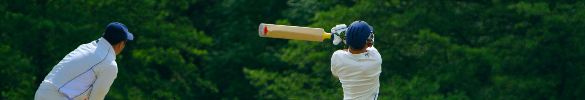 cricket op corfu.jpg