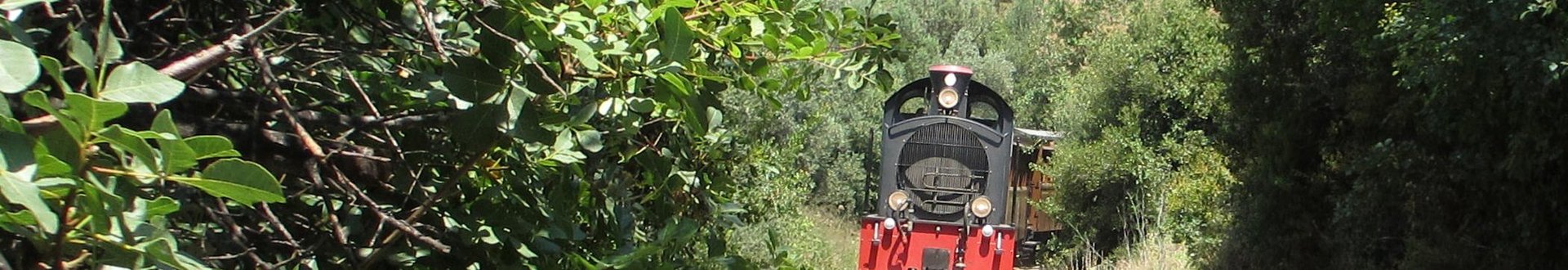 het boemeltreintje van pilion.jpg