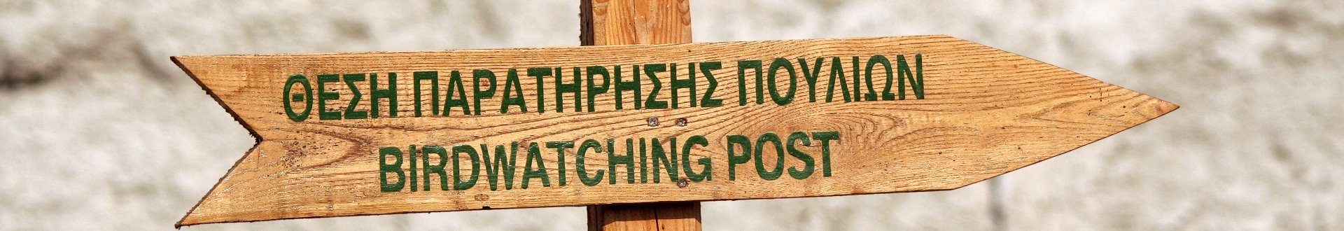 vogels op lesbos.jpg