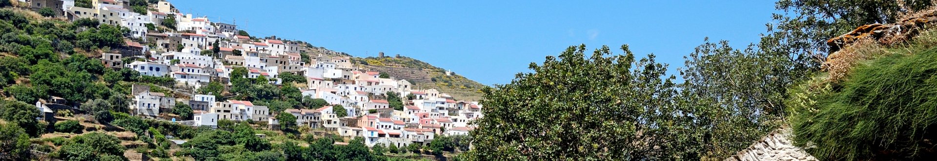 lionda (de leeuw van kea).jpg