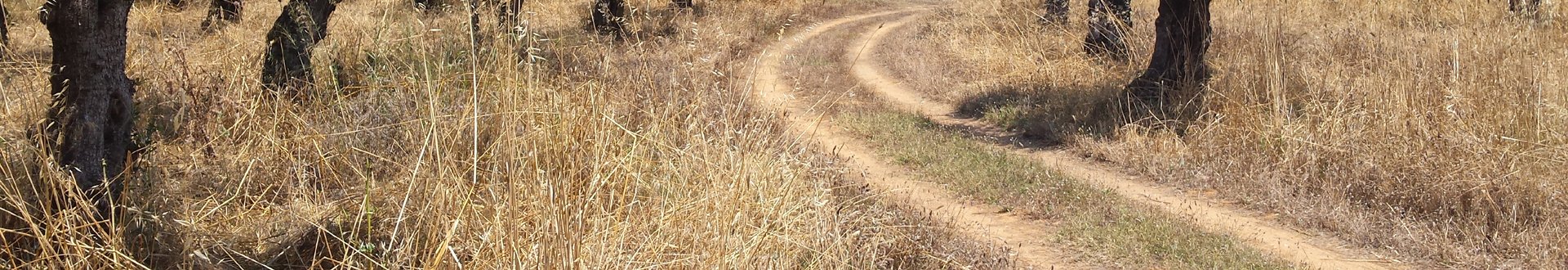 fietsen op de peloponnesos.jpg