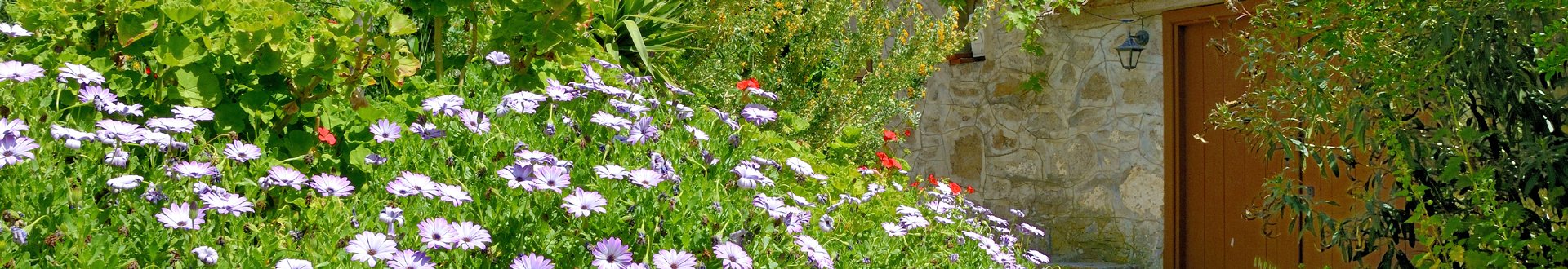 het dorp kontias op limnos.jpg