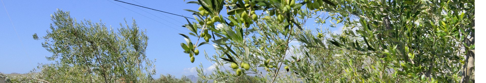 het dorp lefkogia op kreta.jpg