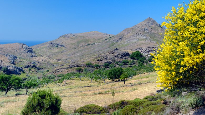 Wandelen op Lesbos