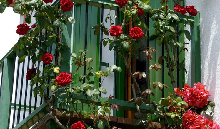 palio chorio, alonissos