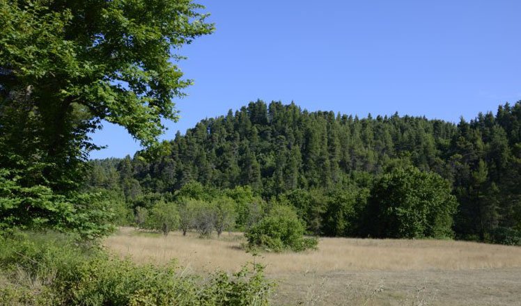 het dorp pefki in het noorden van evia