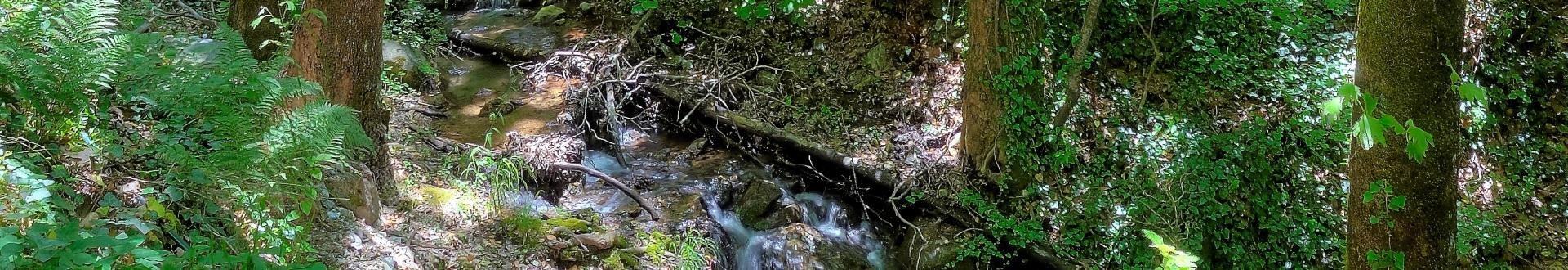 de kortste lift ooit