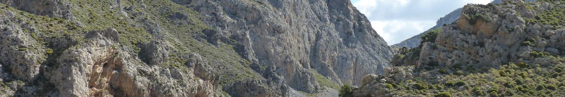 namijmeren over een week olijven plukken op zuid-kreta