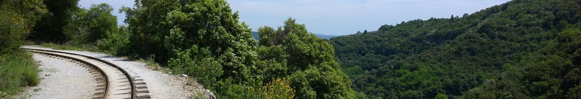 kind kwijt in pilion