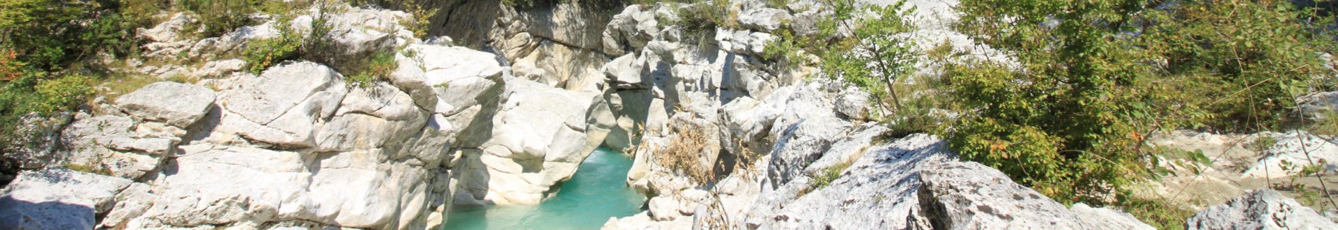 een onvergetelijke griekse avond uit