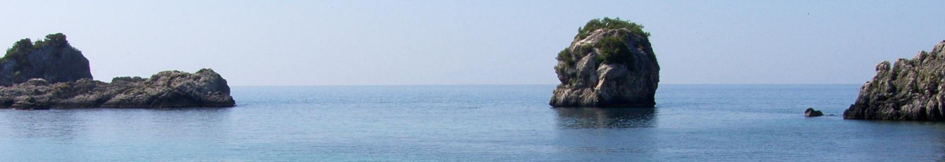 erkende reisorganisatie