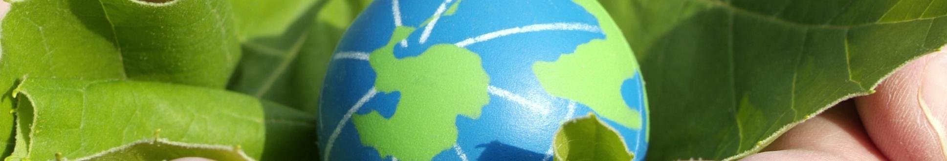 header ross holidays en milieu