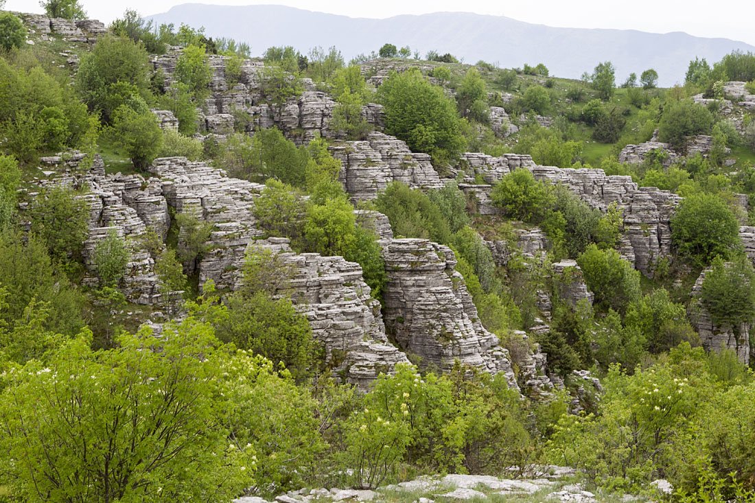 epiros_the stone forest in zagoria, epirus, western greece_st (1).jpg